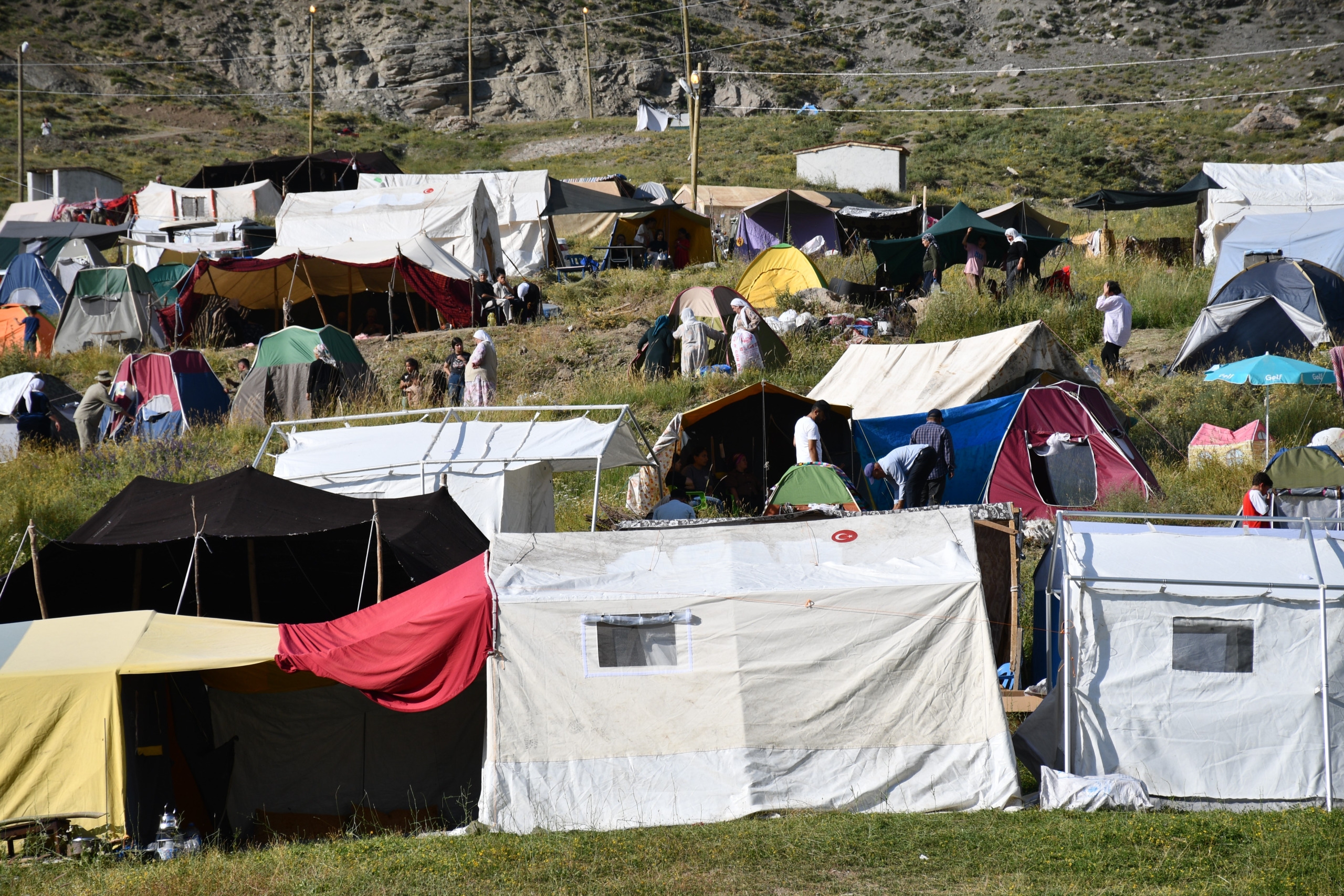Şırnak’ta Kuzu Kırkma Festivali Başladı