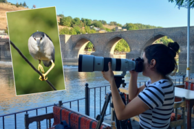 Doğa Sanatçısı Taş, Hevsel Bahçelerini Objektifine Taşımaya Devam Ediyor