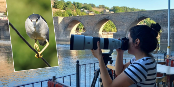 Doğa Fotoğrafçısı Taş, Hevsel Bahçelerini Objektifine Taşımaya Devam Ediyor