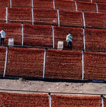 bir-yaz-geleneginden-renkli-goruntuler1