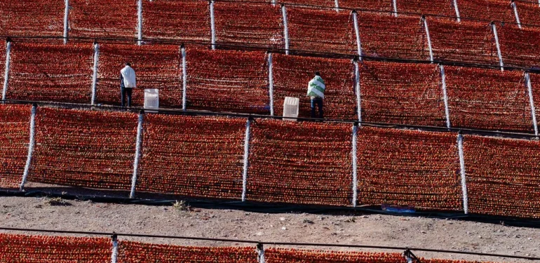 Bir Yaz Geleneğinden Renkli Görüntüler