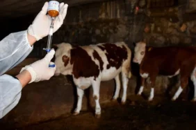 diyarbakirda-buyuk-kriz1