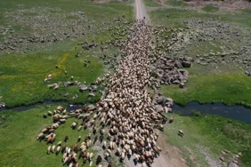 teknolojiden-uzak-zorlu-bir-yasam1