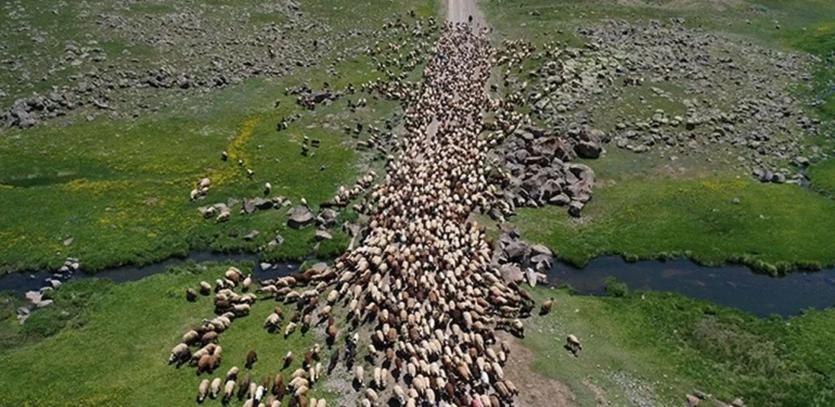 Teknolojiden Uzak Zorlu Bir Yaşam