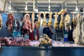 sakat at diyarbakır kasap et