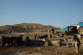 GES Pınarova: Köyün Geçim Kaynakları GES’e Kurban Ediliyor