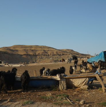 GES Pınarova: Köyün Geçim Kaynakları GES’e Kurban Ediliyor