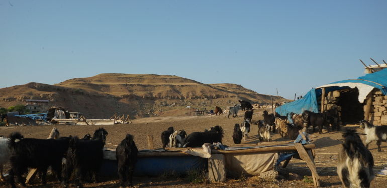 Köyün Geçim Kaynakları GES’e Kurban Ediliyor