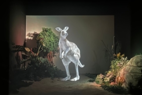 hayvanat bahçesi dijital ne haber