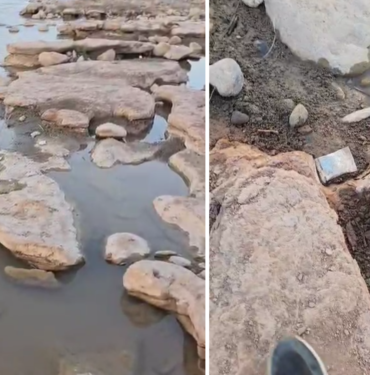 Botan Vadisi’nde Toplu Balık Ölümleri Yaşanıyor