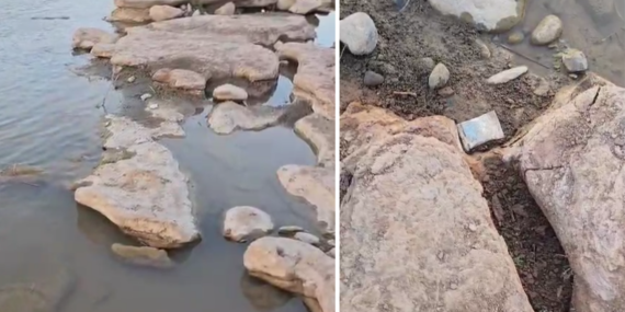 Botan Vadisi’nde Toplu Balık Ölümleri Yaşanıyor