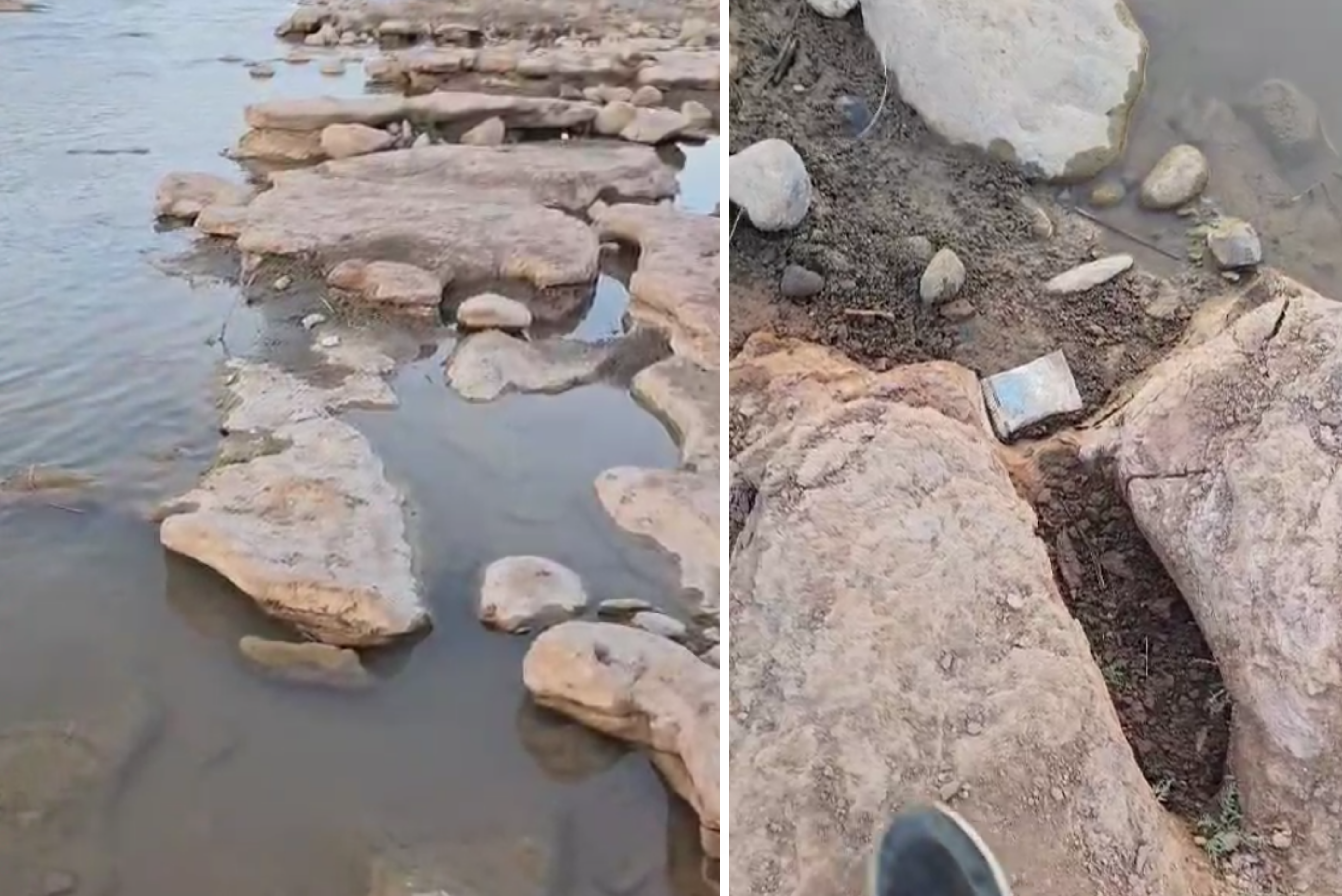 Botan Vadisi’nde Toplu Balık Ölümleri Yaşanıyor 1 Botan Vadisi’nde Toplu Balık Ölümleri Yaşanıyor