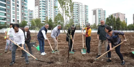 Koma Amed Üyeleri Diyarbakır’da Ağaç Dikti