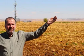 whatsapp-image-2025-10-02-at-150435-1