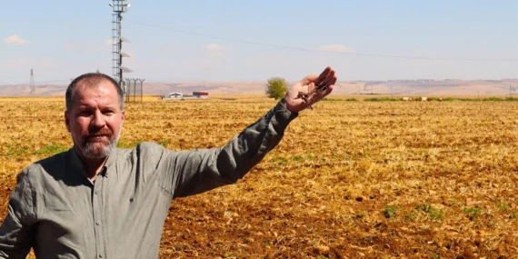 Diyarbakır’da Çiftçinin Alın Teri Tarlada Kurudu: Tarım SOS Veriyor
