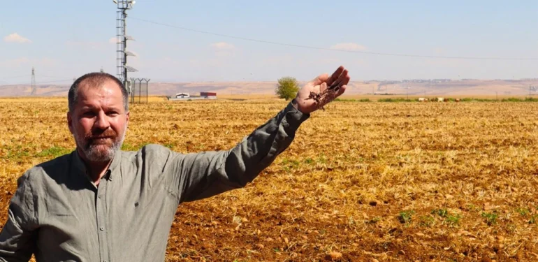 Diyarbakır’da Çiftçinin Alın Teri Tarlada Kurudu: Tarım SOS Veriyor
