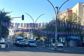 diyarbakir-kadina-yonelik-siddete-karsi-birlesti1