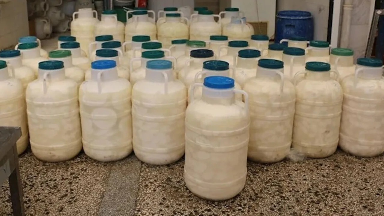 Diyarbakır’da Kadınlar Devrim Yaptı! Kendi Markalarıyla Üretecekler 4 Diyarbakır’da Kadınlar Devrim Yaptı! Kendi Markalarıyla Üretecekler