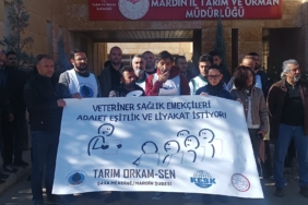 Veteriner Hekimler Hak Gasplarına Karşı Ayakta