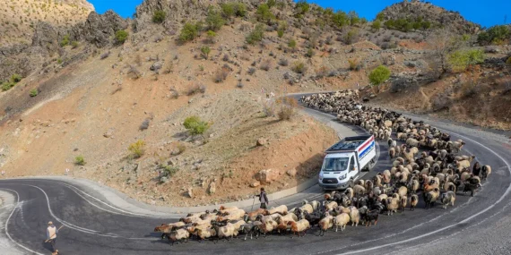 Koçerlerin “9 Virajlı” Zorlu Dönüşü