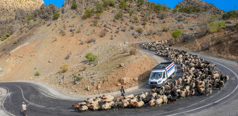 Koçerlerin “9 Virajlı” Zorlu Dönüşü