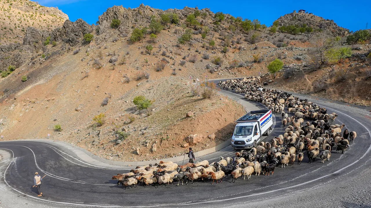 Koçerlerin “9 Virajlı” Zorlu Dönüşü