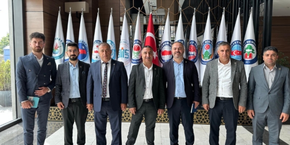 Hükümete Atama ve Uzmanlaşma Çağrısı