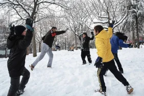 1097da27-bdd8-4bbb-bcea-6f3f9d27298d