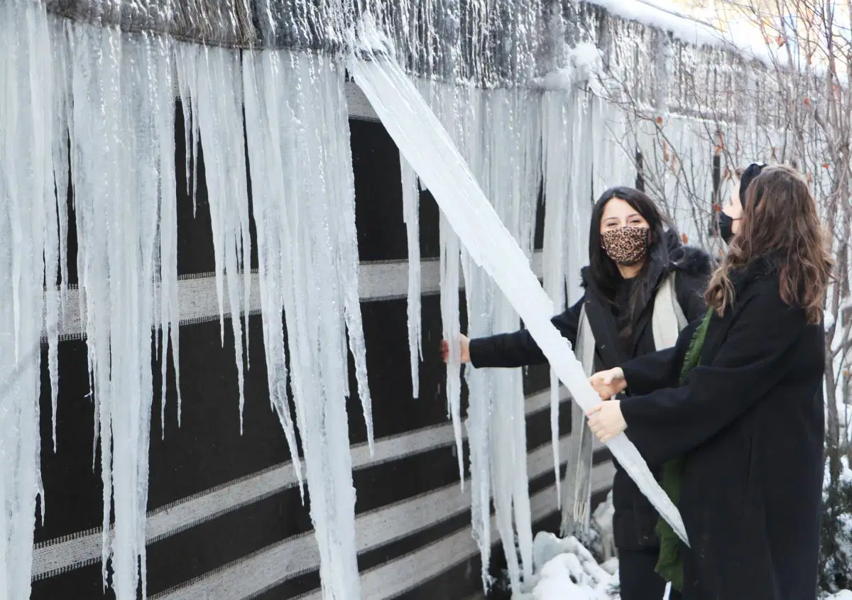 Doğu Buz Kesti; 2 İlçe -25 Dereceyi Gördü!