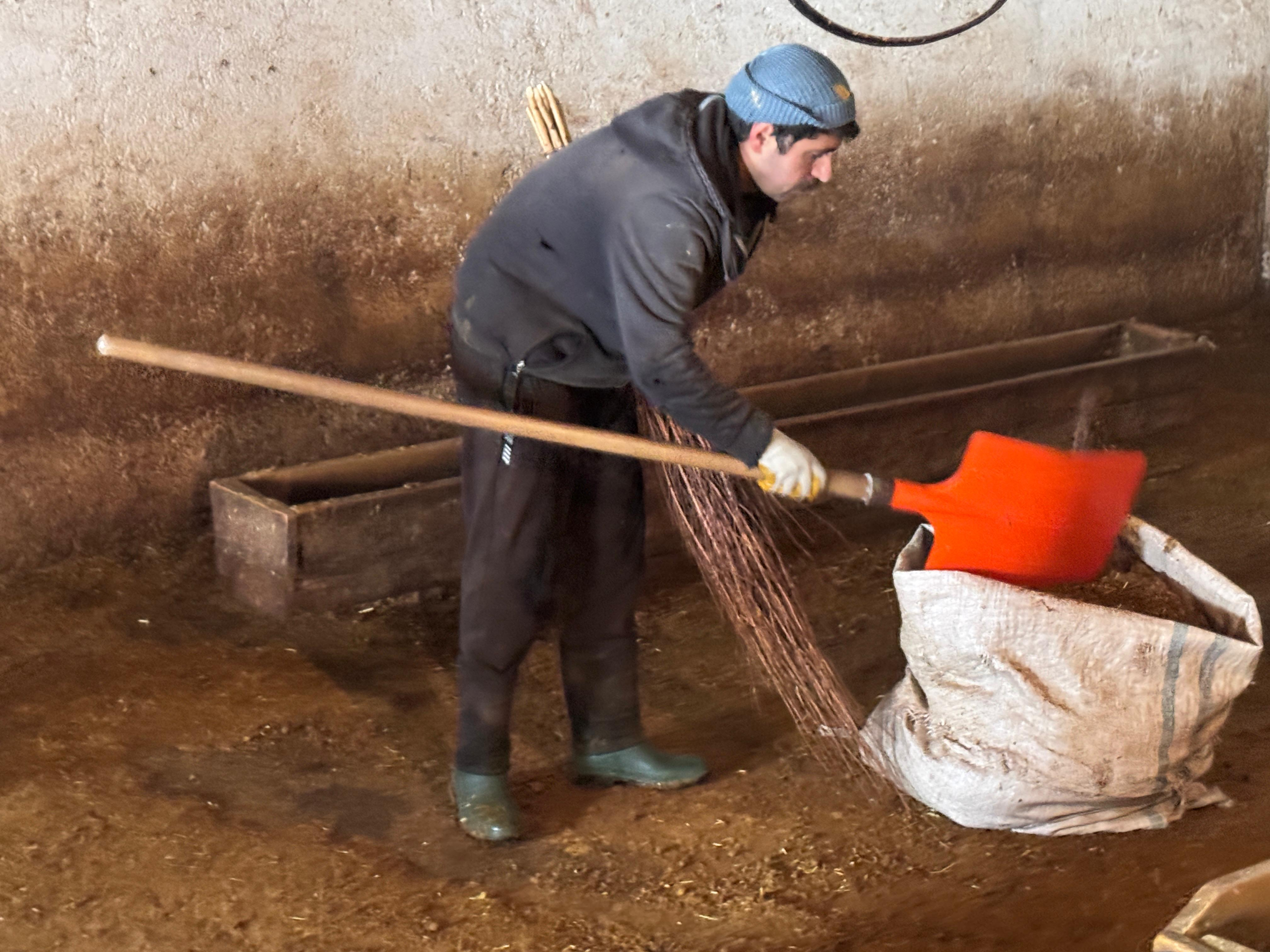 Atanamayan Öğretmen Adayı Köyüne Dönüp Hayvancılığa Başladı