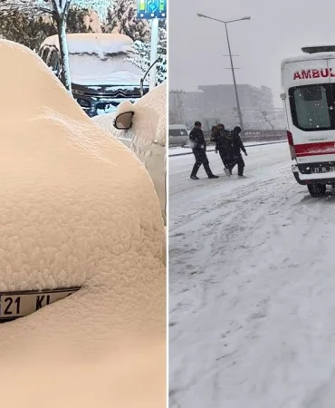 güneydoğu kar yağış