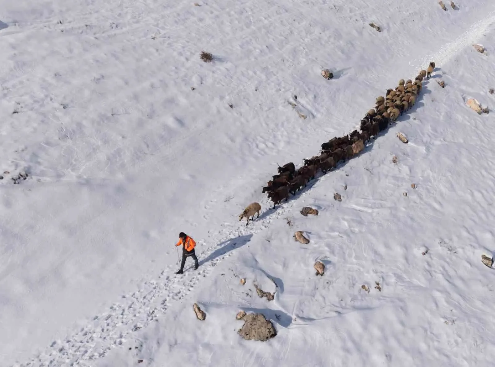 Mardin’de Besicilerin Zorlu ’Kar’ Mesaisi 1 Mardin’de Besicilerin Zorlu ’Kar’ Mesaisi