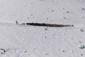 365735815-1769972817