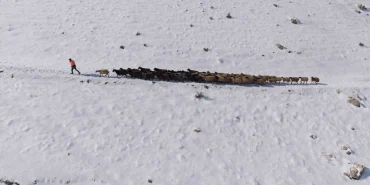 365735815-1769972817