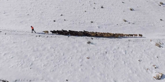 Mardin’de Besicilerin Zorlu ’Kar’ Mesaisi