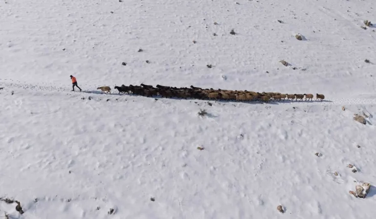 Mardin’de Besicilerin Zorlu ’Kar’ Mesaisi