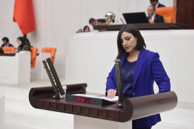 sabahat-erdogan-saritas-1