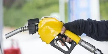 pc-d904830ba513fdf894d2eb09f9fd9048