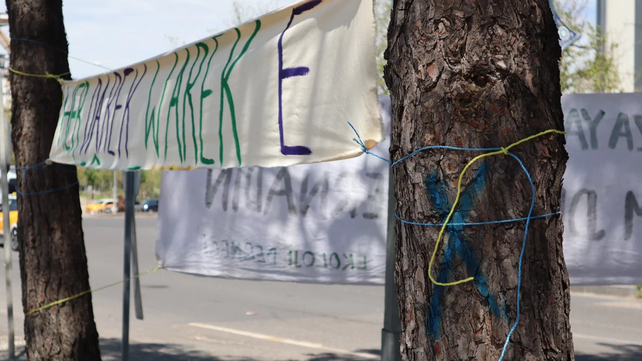 Diyarbakır’da Ağaç Direnişi