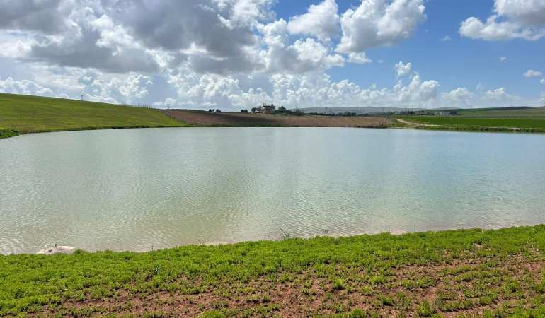 Çayırlı Göleti Kuraklıktan Kurtarıldı: Doluluk Oranı %100’e Ulaştı