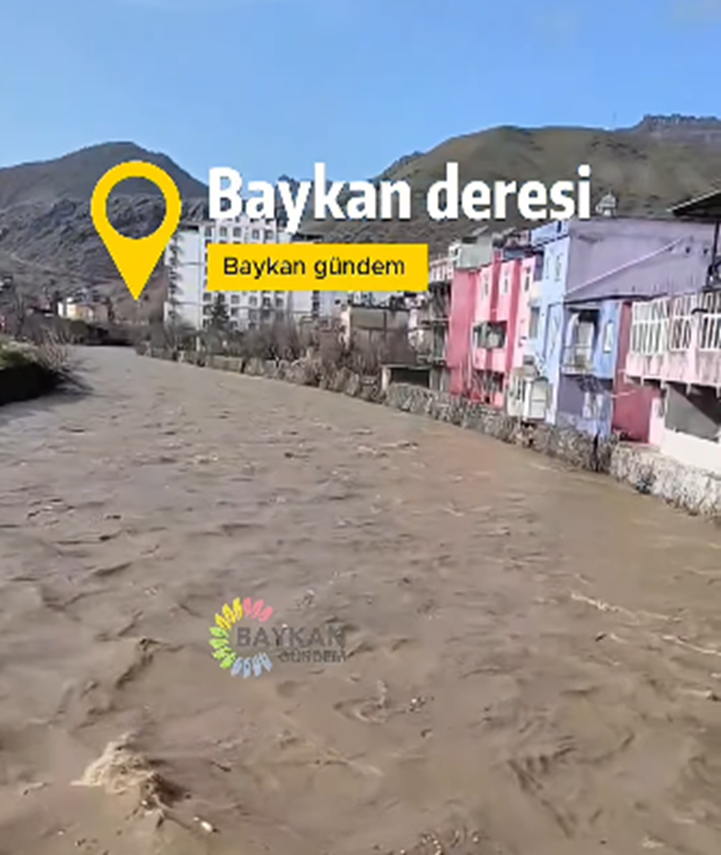 İhmalin Bedeli: Siirt Selinin Perde Arkası