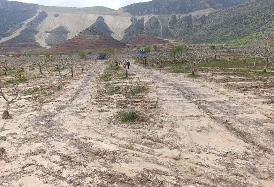 İhmalin Bedeli: Siirt Selinin Perde Arkası