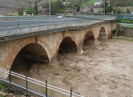 İhmalin Bedeli: Siirt Selinin Perde Arkası